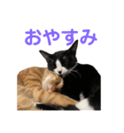 チャイラテver.2（個別スタンプ：6）