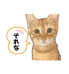 チャイラテver.2（個別スタンプ：16）