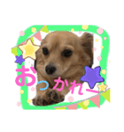 チワックス もずくちゃんのスタンプpart2（個別スタンプ：2）
