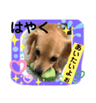チワックス もずくちゃんのスタンプpart2（個別スタンプ：3）