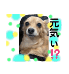 チワックス もずくちゃんのスタンプpart2（個別スタンプ：4）