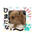 チワックス もずくちゃんのスタンプpart2（個別スタンプ：5）