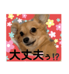 チワックス もずくちゃんのスタンプpart2（個別スタンプ：6）
