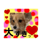 チワックス もずくちゃんのスタンプpart2（個別スタンプ：7）
