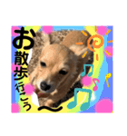 チワックス もずくちゃんのスタンプpart2（個別スタンプ：8）