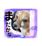チワックス もずくちゃんのスタンプpart2（個別スタンプ：9）