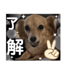 チワックス もずくちゃんのスタンプpart2（個別スタンプ：12）