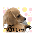 チワックス もずくちゃんのスタンプpart2（個別スタンプ：18）