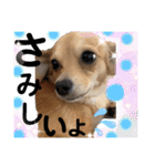 チワックス もずくちゃんのスタンプpart2（個別スタンプ：20）
