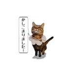 きじとらメメたん（個別スタンプ：3）