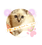 もちゃ12（個別スタンプ：2）