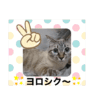 もちゃ12（個別スタンプ：14）