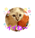 もちゃ12（個別スタンプ：15）