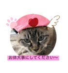 もちゃ12（個別スタンプ：21）