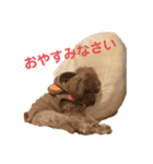 小太郎の日常会話（個別スタンプ：2）