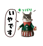 黒猫まろとサバ白はなのスタンプ（個別スタンプ：15）