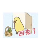 のんびりセキセイインコ（個別スタンプ：8）