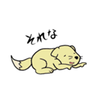アニマル界の日常（個別スタンプ：11）