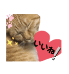 バロンだにゃ2（個別スタンプ：8）