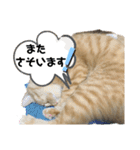 バロンだにゃ2（個別スタンプ：13）