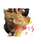 バロンだにゃ2（個別スタンプ：15）