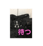 雪コスタンプ（個別スタンプ：4）