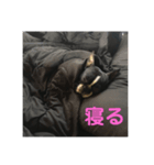 雪コスタンプ（個別スタンプ：5）