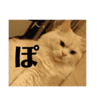 ラガマフィンのさすけ ひらがな（個別スタンプ：26）