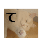 ラガマフィンのさすけ ひらがな（個別スタンプ：32）