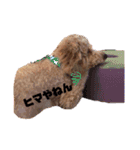 ぶーぶらん（個別スタンプ：4）