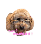 ぶーぶらん（個別スタンプ：13）