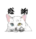 にゃんコの一言（個別スタンプ：1）