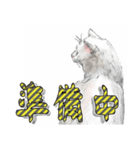にゃんコの一言（個別スタンプ：4）
