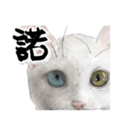にゃんコの一言（個別スタンプ：5）