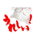 にゃんコの一言（個別スタンプ：8）
