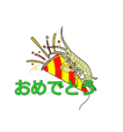 祝って誉めるヨコエビのスタンプ（個別スタンプ：1）