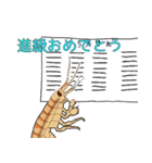 祝って誉めるヨコエビのスタンプ（個別スタンプ：3）