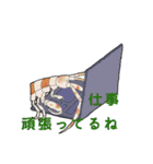 祝って誉めるヨコエビのスタンプ（個別スタンプ：10）