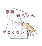 祝って誉めるヨコエビのスタンプ（個別スタンプ：11）