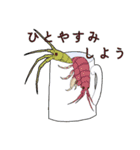 祝って誉めるヨコエビのスタンプ（個別スタンプ：14）