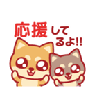 応援＆励まし柴犬（個別スタンプ：3）