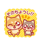 応援＆励まし柴犬（個別スタンプ：17）