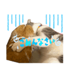 ちゃむとソナ（個別スタンプ：8）
