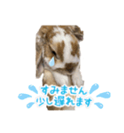 ちゃむとソナ（個別スタンプ：11）