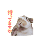 ちゃむとソナ（個別スタンプ：13）