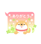 使える柴犬スタンプ -感謝・ありがとう-（個別スタンプ：2）