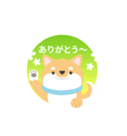 使える柴犬スタンプ -感謝・ありがとう-（個別スタンプ：5）
