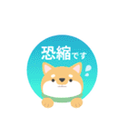 使える柴犬スタンプ -感謝・ありがとう-（個別スタンプ：6）