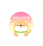 使える柴犬スタンプ -感謝・ありがとう-（個別スタンプ：8）