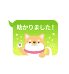 使える柴犬スタンプ -感謝・ありがとう-（個別スタンプ：9）